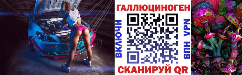 как найти наркотики  Бирюсинск  Галлюциногенные грибы Psilocybe 
